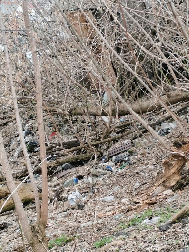 Рязанка пожаловалась на мусор и заваленные деревья на улице Новослободской