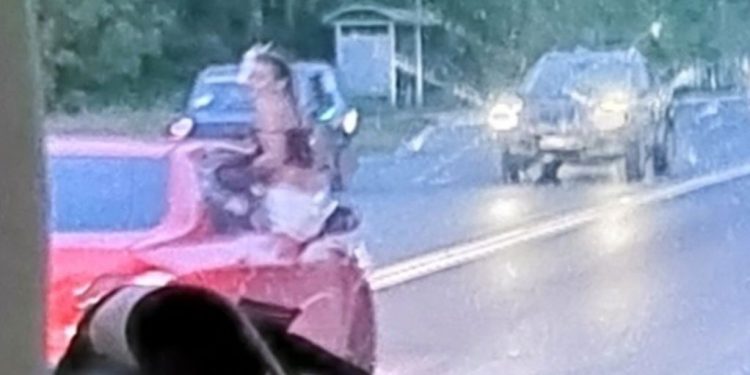 На Черновицкой в Рязани запечатлели девушку, высунувшуюся из окна движущейся машины