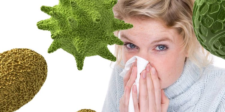 Аллергикам в сезон поллиноза можно будет работать удаленно