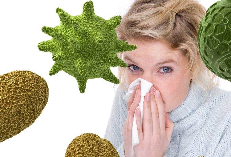 Аллергикам в сезон поллиноза можно будет работать удаленно