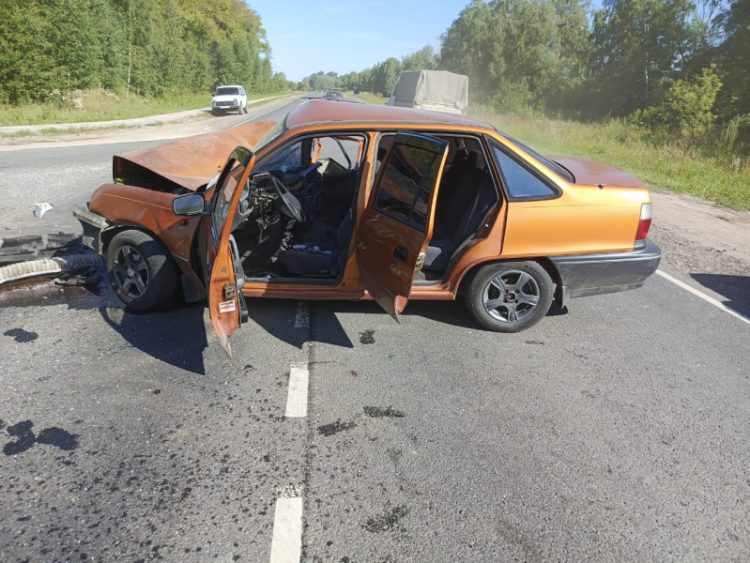 Рязанские полицейские ищут очевидцев ДТП в Старожиловском районе