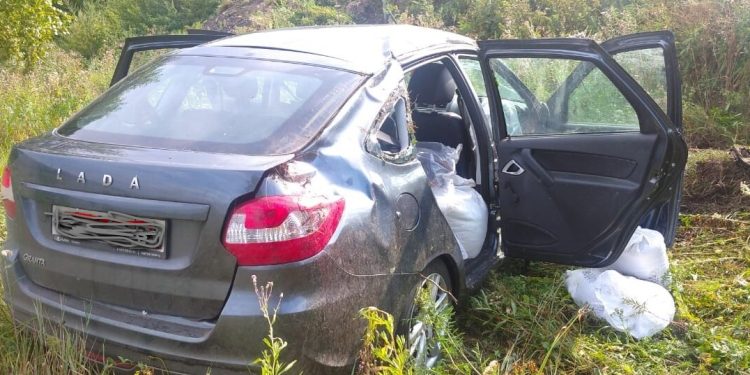В Сараевском районе «Lada Granta» вылетела в кювет