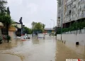 Автобусы не ходят, водой заблокировало двери в магазинах — люди в западне: мощный ливень обрушился на Сочи — кадры