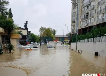 Автобусы не ходят, водой заблокировало двери в магазинах — люди в западне: мощный ливень обрушился на Сочи — кадры