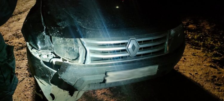 В рязанском Рыбном женщина-водитель насмерть сбила пешехода и скрылась с места ДТП