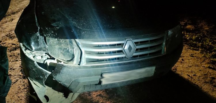 В рязанском Рыбном женщина-водитель насмерть сбила пешехода и скрылась с места ДТП