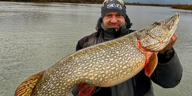 Рязанский рыбак выловил из Оки гигантскую щуку