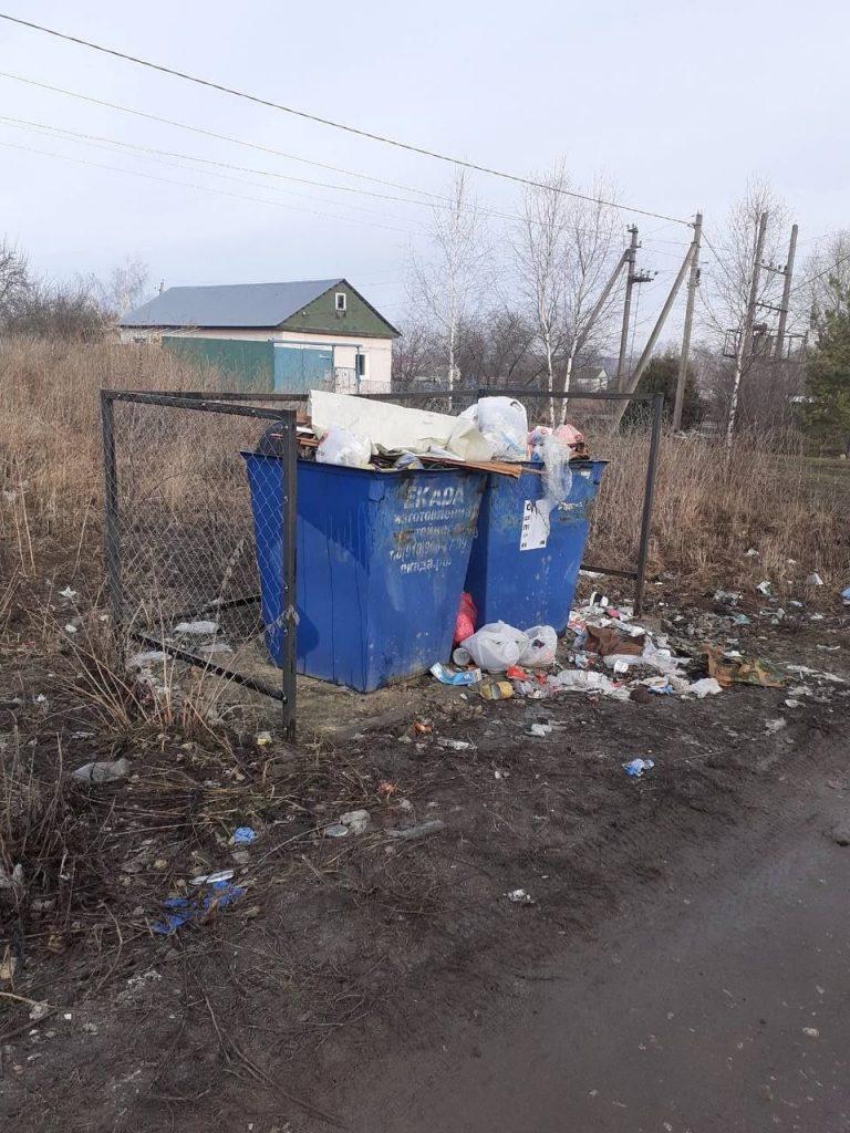 Жители рязанского Скопина пожаловались на неубранные горы мусора