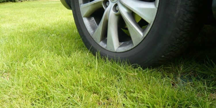 С начала 2024 года в Рязани оштрафовали 316 водителей за парковку на газонах