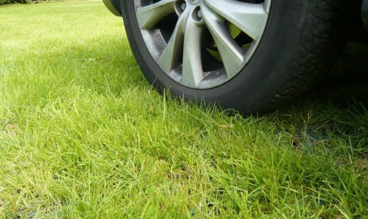 С начала 2024 года в Рязани оштрафовали 316 водителей за парковку на газонах