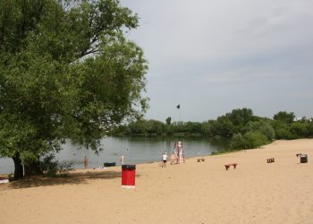 В Рязани прошла приемка пляжей перед началом купального сезона В Рязани прошла приемка пляжей перед началом купального сезона