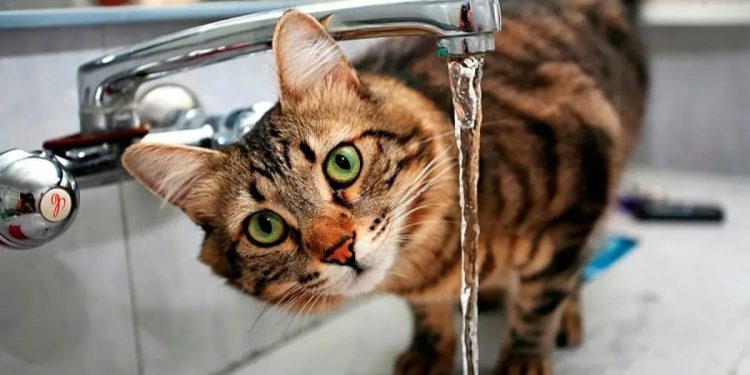 27 марта рязанские дома остались без горячей воды и отопления