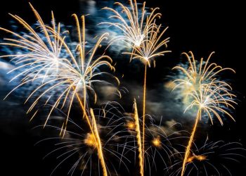 В МЧС напомнили рязанцам о правилах безопасности при запуске фейерверков В МЧС напомнили рязанцам о правилах безопасности при запуске фейерверков