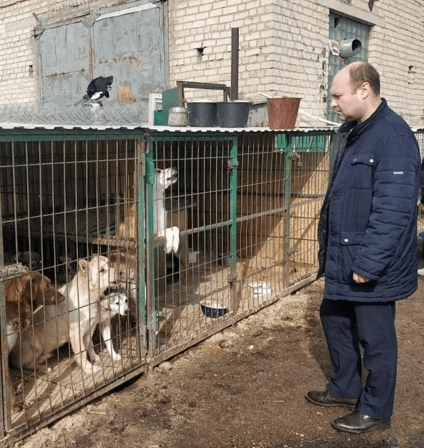 Лидер рязанских коммунистов посетил Городскую службу по контролю за безнадзорными животными
