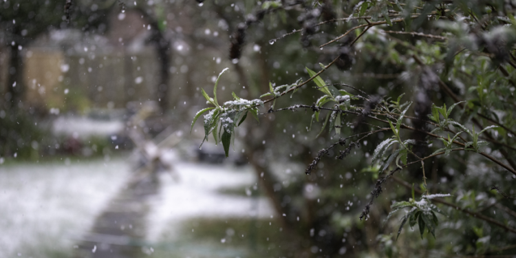 Метеоролог Позднякова: мокрый снег в Центральной России может пойти уже в конце октября