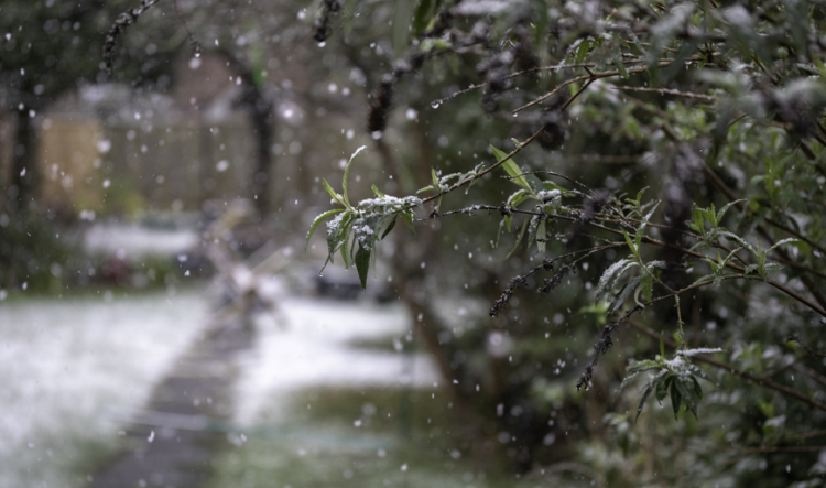 Метеоролог Позднякова: мокрый снег в Центральной России может пойти уже в конце октября