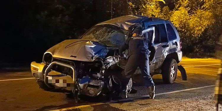 В ДТП под Рязанью при столкновении грузовика и кроссовера погиб 45-летний водитель