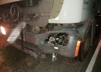 В Касимовском округе в сентябре произошло два ДТП с участием лосей В Касимовском округе в сентябре произошло два ДТП с участием лосей