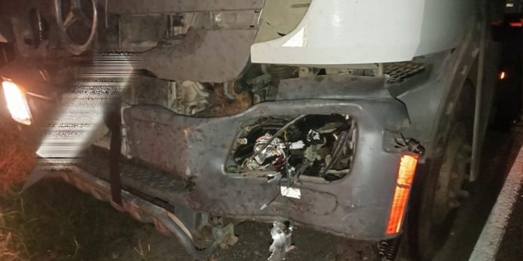 В Касимовском округе в сентябре произошло два ДТП с участием лосей В Касимовском округе в сентябре произошло два ДТП с участием лосей