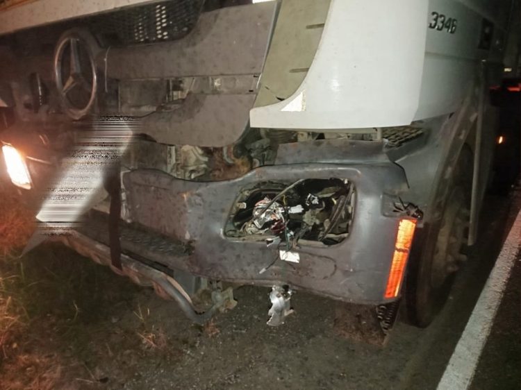 В Касимовском округе в сентябре произошло два ДТП с участием лосей