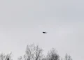 БПЛА сбили в Рязанской области: что известно?
