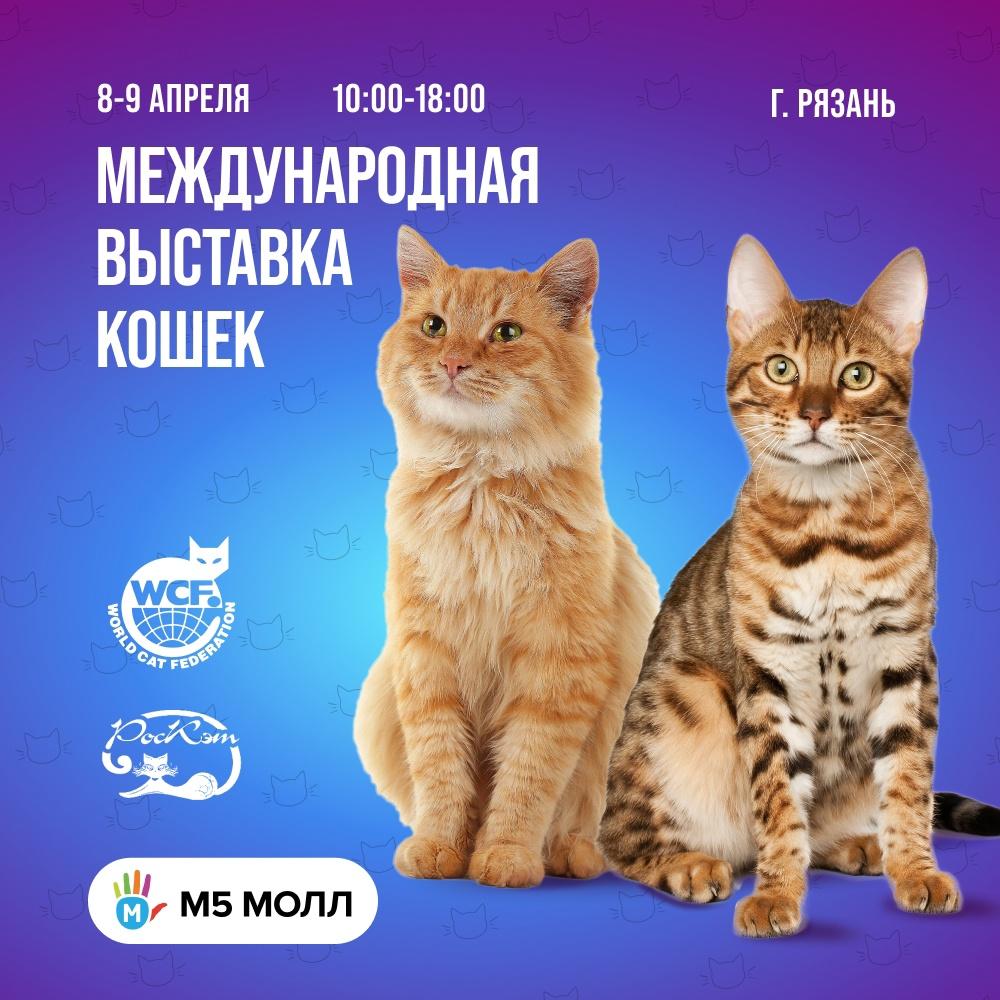 8 и 9 апреля в рязанском ТРЦ "М5 Молл" будет работать выставка кошек