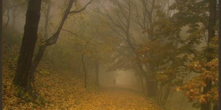 Рязанцев предупредили о дневном тумане с видимостью до 500 метров