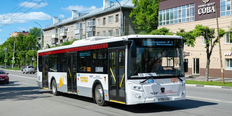 Мэрия: новые правила льготного проезда в Рязани начнут действовать с 1 сентября