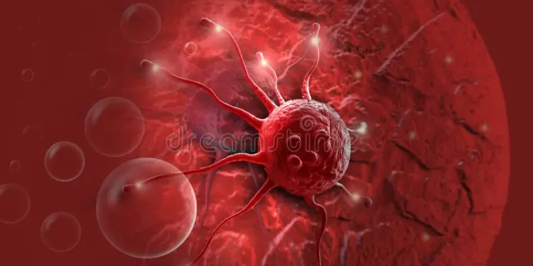 Противораковая российская вакцина успешно прошла доклинические исследования