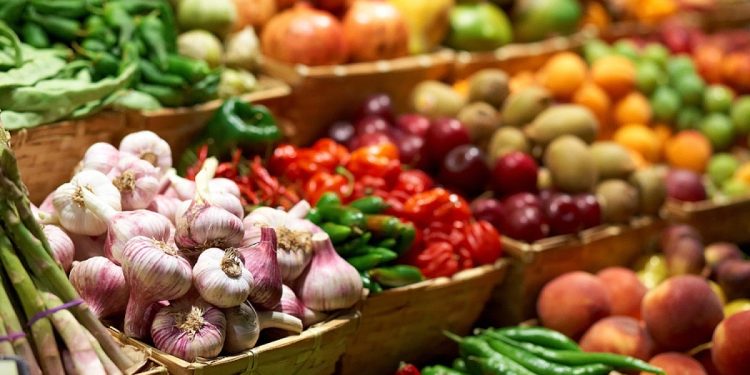 С начала 2024 года в Рязани за незаконную торговлю оштрафовали 1123 нарушителя