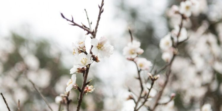 Дождливая и холодная погода в Рязанской области сохранится до конца текущей недели