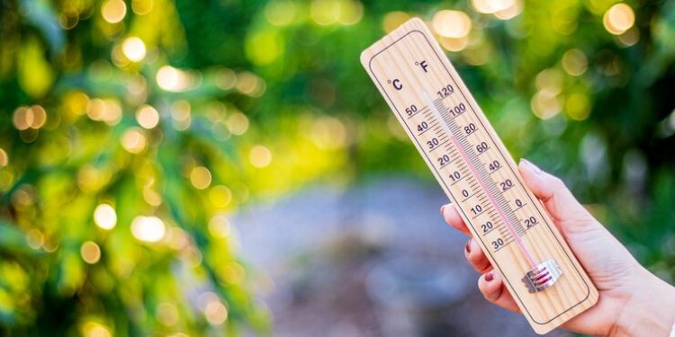 В среду в Рязанской области ожидается гроза и до +35 градусов