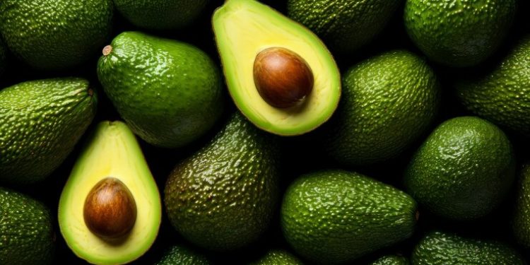 Sabah: авокадо снижает уровень "плохого" холестерина в крови Sabah: авокадо снижает уровень «плохого» холестерина в крови