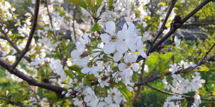 Тишковец: лето в Центральной России наступит в конце мая