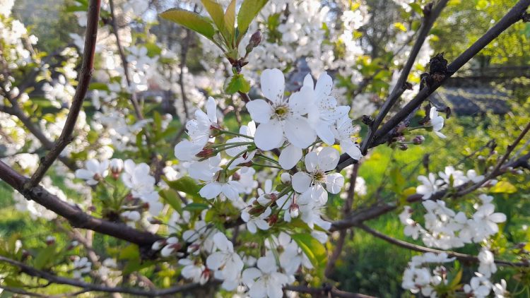 7 марта в Рязани был побит температурный рекорд