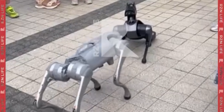 На Рязанской ВДНХ горожан развлекали киберсобаки