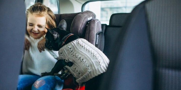 2 июля в Рязанской области проходит рейд «Детское кресло»