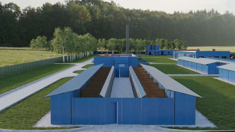 Приют для безнадзорных животных под Рязанью начнут строить в 2025 году