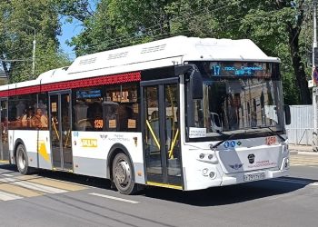 В Рязани прекращает свою работу автобус, отвозивший горожан на Ореховое озеро В Рязани прекращает свою работу автобус, отвозивший горожан на Ореховое озеро