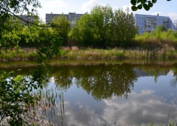 На расчистку рязанских Черезовских прудов выделили почти 2 миллиона рублей