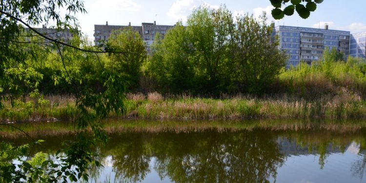 На расчистку рязанских Черезовских прудов выделили почти 2 миллиона рублей