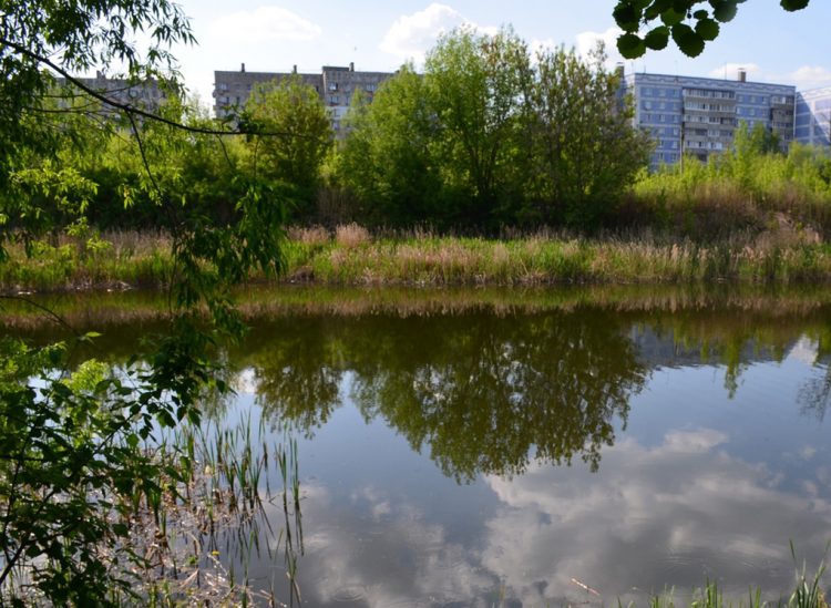 На расчистку рязанских Черезовских прудов выделили почти 2 миллиона рублей