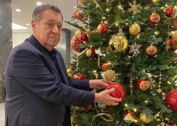 Рязанский депутат Андрей Макаров снял с «Елки желаний» три шарика