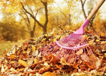 Рязанцев приглашают на общегородской субботник 5 октября Рязанцев приглашают на общегородской субботник 5 октября