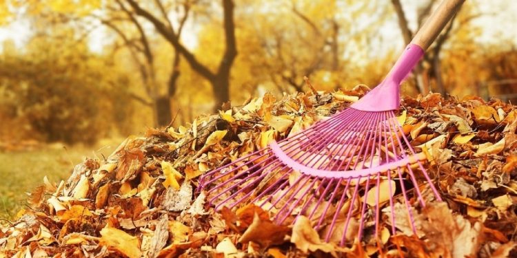 Рязанцев приглашают на общегородской субботник 5 октября