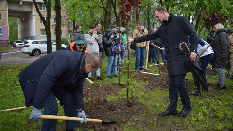 Рязанцы высадили 49 деревьев в память о героях Великой Отечественной войны