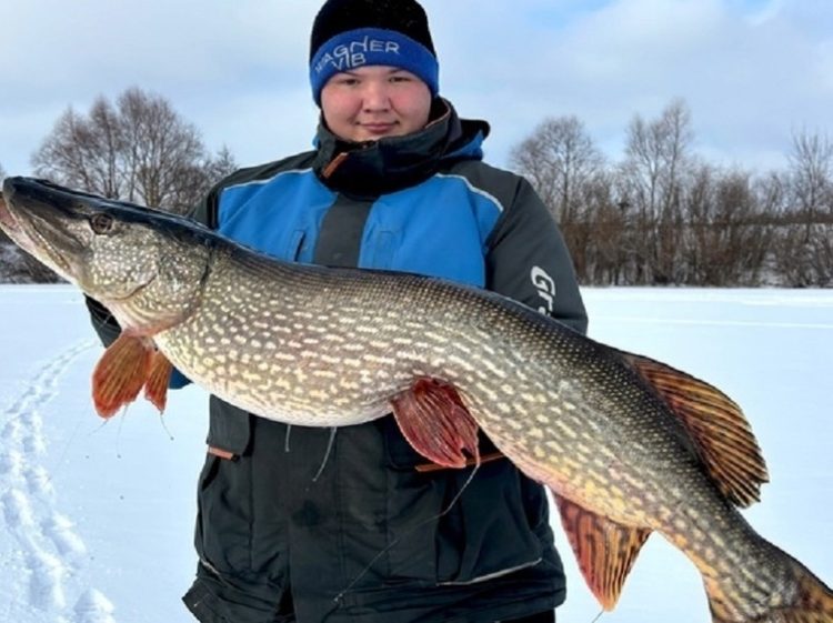 Рязанский рыбак поймал 13-килограммовую щуку