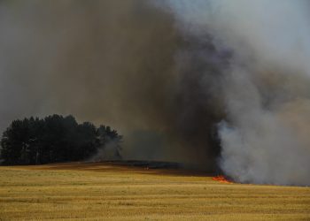 Пожароопасный сезон в Рязанской области начнется уже со следующего понедельника Пожароопасный сезон в Рязанской области начнется уже со следующего понедельника