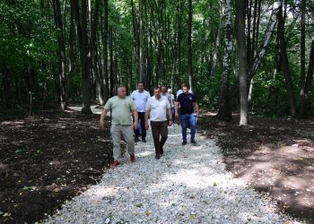 Работы по благоустройству в рязанском Лесопарке завершатся к 15 августа