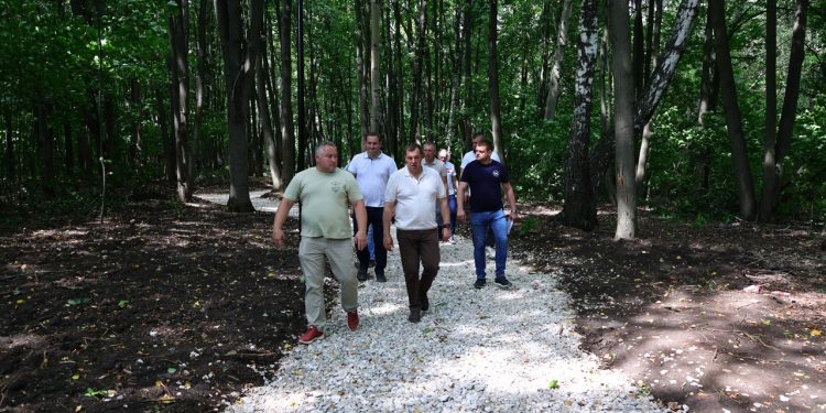 Работы по благоустройству в рязанском Лесопарке завершатся к 15 августа Работы по благоустройству в рязанском Лесопарке завершатся к 15 августа